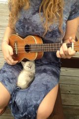 I wish I was that ukulele. Hell, Id settle for be...
