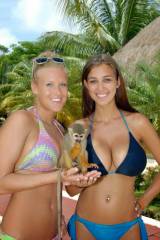 So Envious She Has to Hold a Monkey