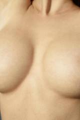 These, class, are called tits.