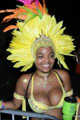 Miami Carnival 14