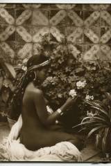 Lehnert and Landrock – Flower Girl, North Africa...