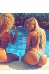 Asses by the pool