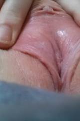 Young un[f]ucked Pussy ;) sorry about how it looks...