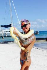 Snake on the beach