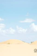 Sand Dunes [OC from r/gonewildphotographers]