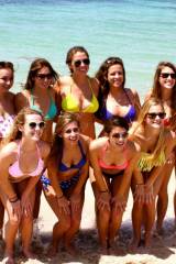 Group of beach babes