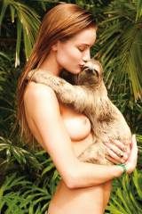 Lucky sloth