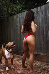 Lucky dog gets a great view