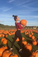 Picking pumpkins