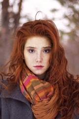 Winter redhead