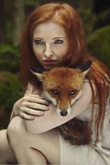 Fox and Foxy