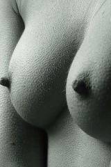 B/W image of fuzzy breasts with sweet hard nipples...