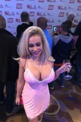 Blonde Pornstar with Bolted On Fake Tits