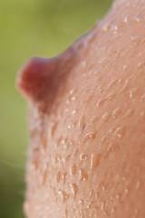 Water droplets on a single boob with an erect nipp...